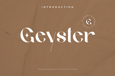 Geyster Modern/Vintage Font stylish