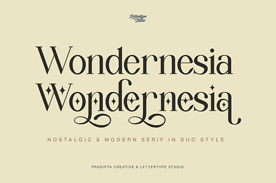 Wondernesia Nostalgic & Modern Serif display font