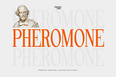 Pheromone | Modern Classic Serif flowing