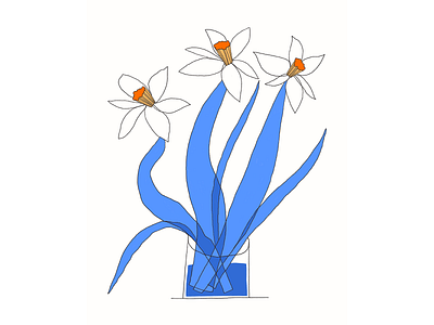 Daffodils blue bouquet contrast flowers graphic design illustration illustrator narzissen naturmorte spring stilllife