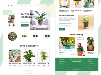 Plant Landing Page design landing page plant design ui ui design web design