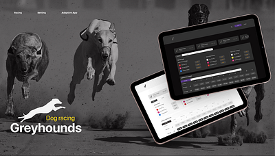 Greyhouds | Dog Racing Platform adaptive design animal betting dark theme dog racing dogs figma light theme platform race responsive design uxui web app wireframes