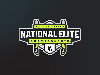 National Elite Championship baseball baseball bat branding champion graphic design homeplate illustration logo national vector