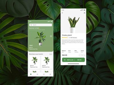 PlantifyMarket app typography ui