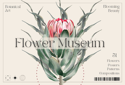 Modern Flower Collection aesthetics art branding collection flower graphic design illustration modern poster procreate watercolor