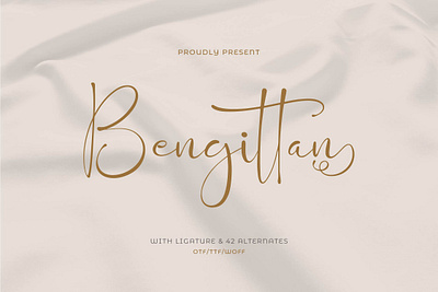 Bengittan Handwritten Script Font calligraphy script font collection font font script graphic design