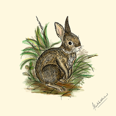 Rabbit Detailed Illustration design graphic design illustration vector