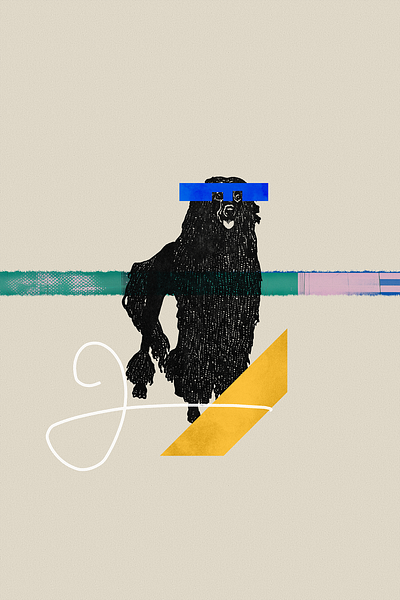 Ebony Mosaic abstract collage digital collage dog juan lugo minimalist playful poodle studio kenzo