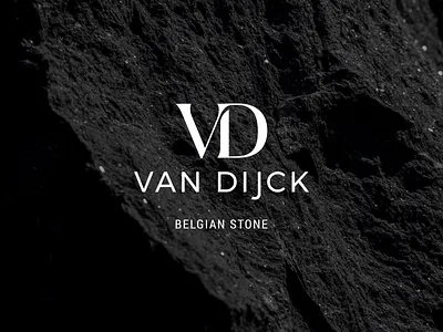 Van Dijck branding corporate epic graphic design logo photography stone ui website