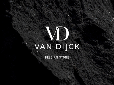 Van Dijck branding corporate epic graphic design logo photography stone ui website