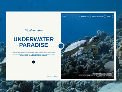 OCEANIC - Website Concept blog cms concept custom code design landing page minimalist modern oceanic portfolio survival svg turtles ui underwater ux web web design webdesign website