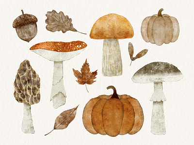 Autumn Watercolor Clipart and Pattern clipart drawing mushroom pattern pumpkin watercolor clipart watercolor pattern