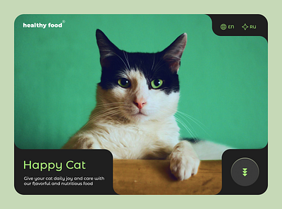 Cat food / landing page graphic design ui ux
