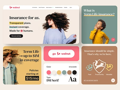 Walnut Insurance brand concept app brand branding deck design graphic design illustration insurance presentation ui