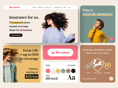 Walnut Insurance brand concept app brand branding deck design graphic design illustration insurance presentation ui
