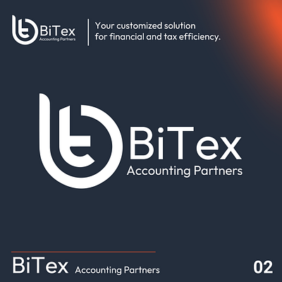 BiTex Accounting Partners brand kit branding graphic design illustration illustrator logo