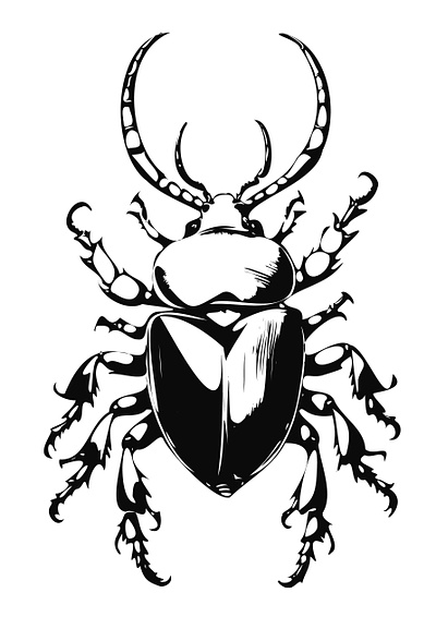 Beetle animal art design graphic design illus illustration vector