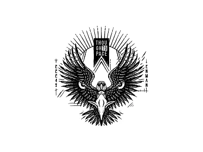 Eagle eagle illustration vector