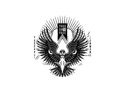 Eagle eagle illustration vector