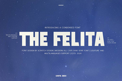 The Felita | Modern All Caps Sans Serif Font font font design graphic design illustration lettering logo