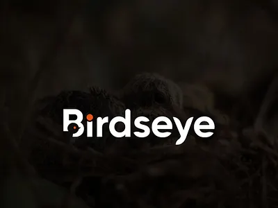 Birds logo abstarct logo bird logo birds logo birdseye logo creative logo eye logo lettermark logo logo modern logo negative space logo new brand logo unique logo wordmark logo