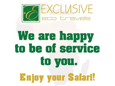 Thank You Card graphic design