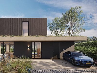 VILLA TARAXACUM TERHEIJDEN 3d 3d design exterior house 3d exterior 3d exterior design 3d exterior home design 3d exterior house design 3d rendering 3drenderingstudio 3dvisualization cgi ext exterior rendering rendering studio visualization studio