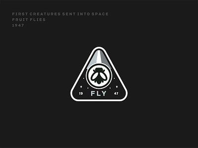 Fruit flies badge branding bug design fly fruit flies graphic design icon icon set illustration logo nasa rocket satelite space space mission spaxe x stars universe vector