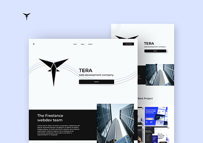 Tera Web Landing Page Design landing page ui web web ui