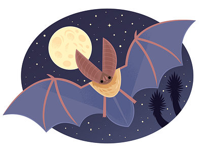 Big-eared Bat animals bat desert design illustration nature science illustration spot illustration vector wildlife