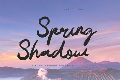 Spring Shadow beautiful branding brush design font font design graphic design handwritten illustration logo spring summer