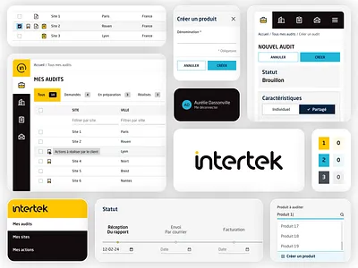 Advice Service - Shared audits aurélie dassonville black blue global network intertek paas pixeloscopia portal responsive design shared audits yellow
