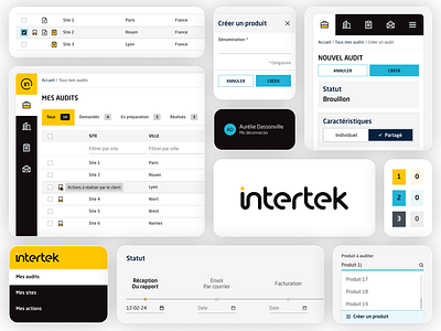 Advice Service - Shared audits aurélie dassonville black blue global network intertek paas pixeloscopia portal responsive design shared audits yellow