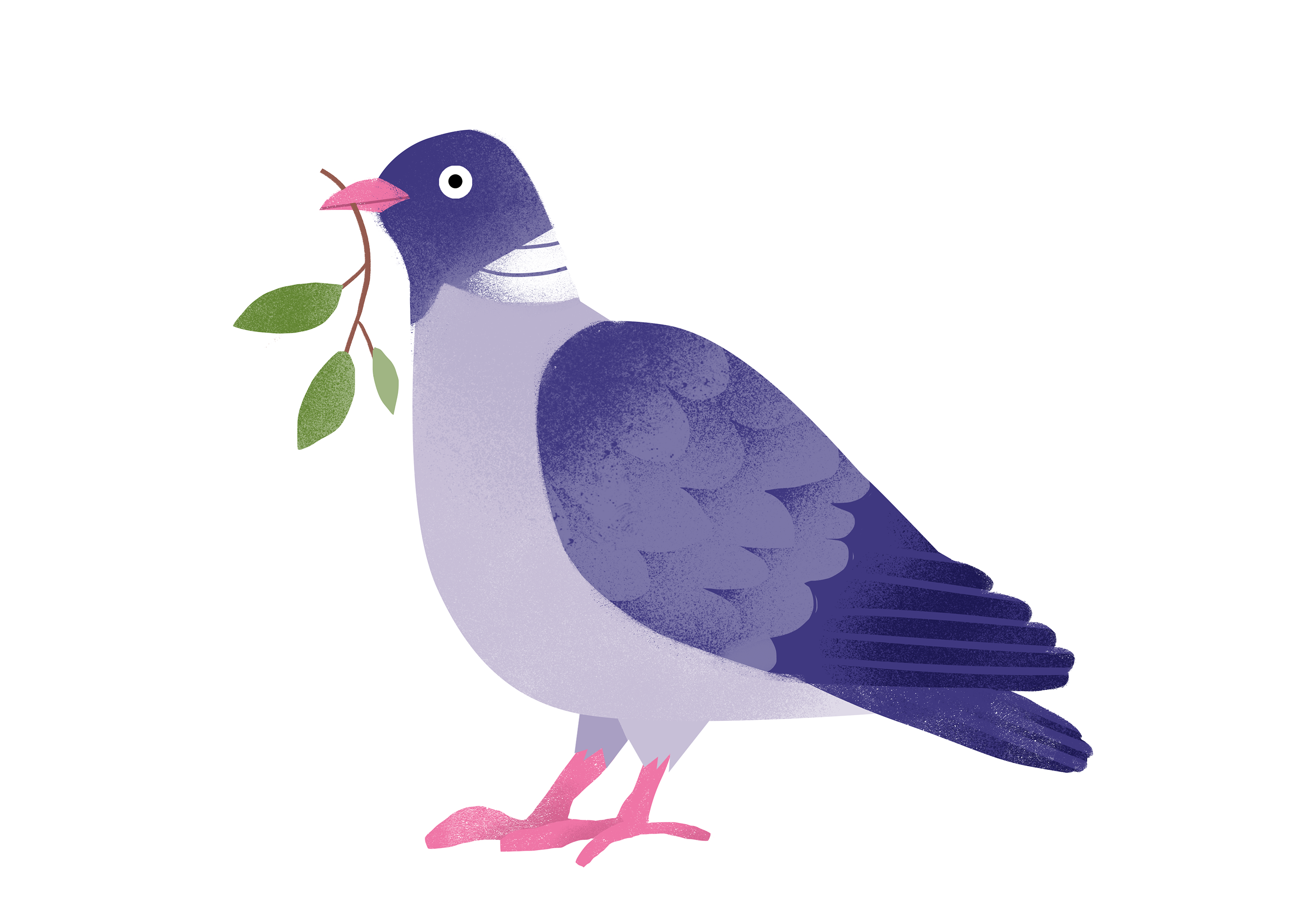 Pigeon adobe photoshop bird design flat graphic design icon illustration illustrator nature pigeon spring urban vector