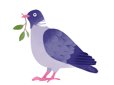 Pigeon adobe photoshop bird design flat graphic design icon illustration illustrator nature pigeon spring urban vector