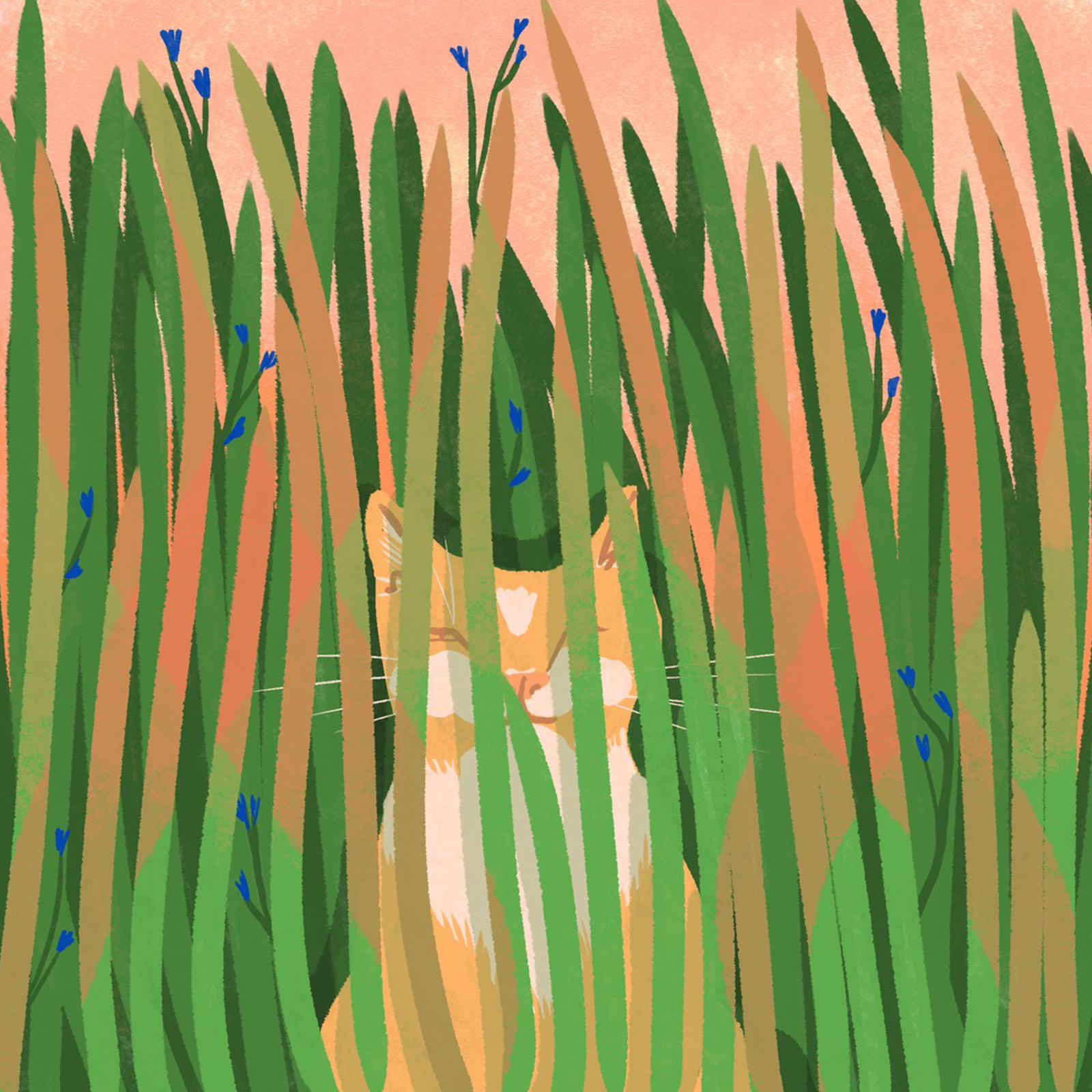 Example of Momo in the grass