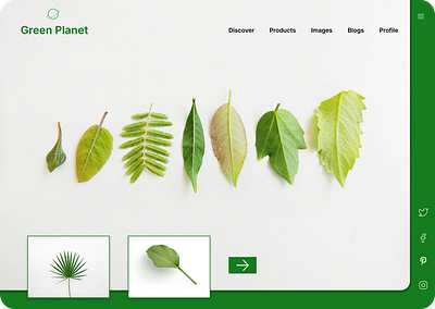 Green planet branding graphic design logo ui