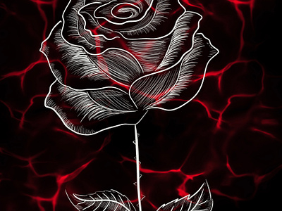 Rose drawing drawing rose