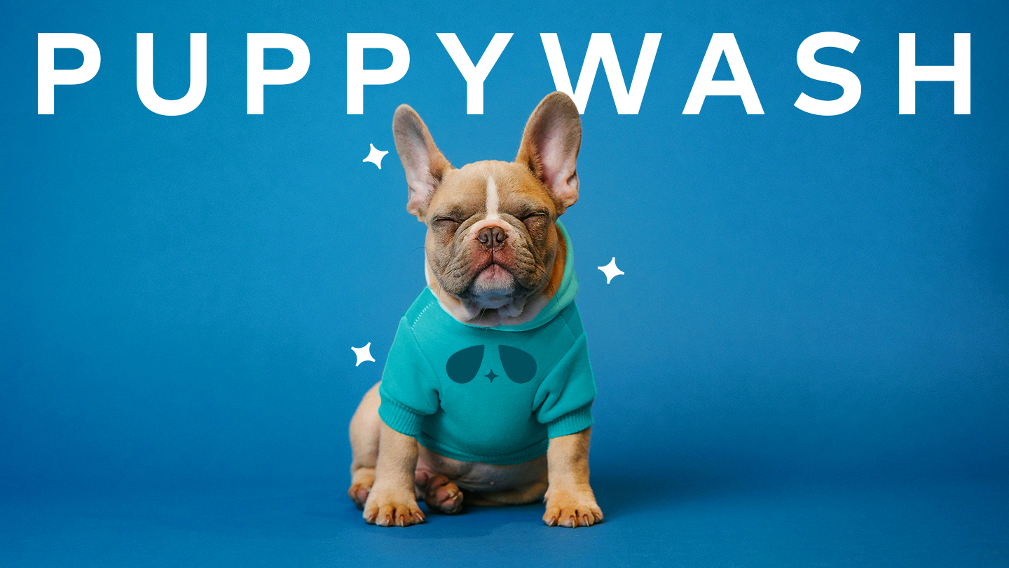 Puppywash art direction brand identity branding custom logo dogs dtc freelance logo logo design pet pet care branding pets photo puppies puppywash sparkle vibes wordmark