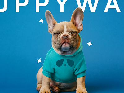 Puppywash art direction brand identity branding custom logo dogs dtc freelance logo logo design pet pet care branding pets photo puppies puppywash sparkle vibes wordmark
