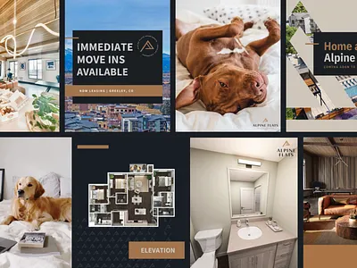 Alpine Flats Apartments Social Media Graphics apartment branding apartment marketing apartment social media apartments multifamily multifamily social media social media design social media graphics social media marketing