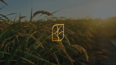 BioAgro Nordeste branding graphic design logo visual identity