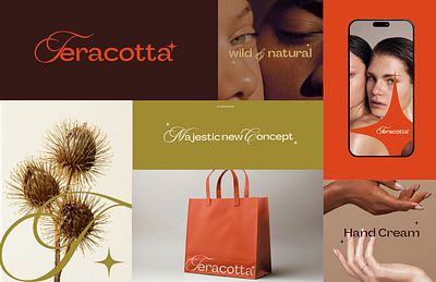 Teracotta Branding Overview app beauty branding design graphic design illustration logo typography ui vector