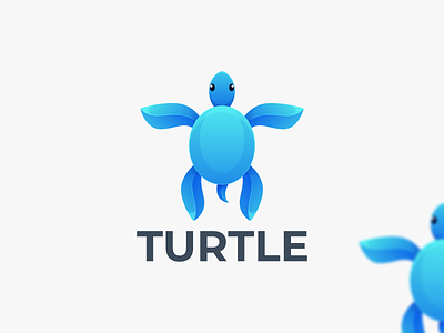 TURTLE animal coloring animal logo branding design graphic design icon logo turtle turtle coloring turtle design graphic turtle icon turtle logo