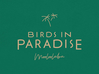 Birds In Paradise branding fashion logo tropical
