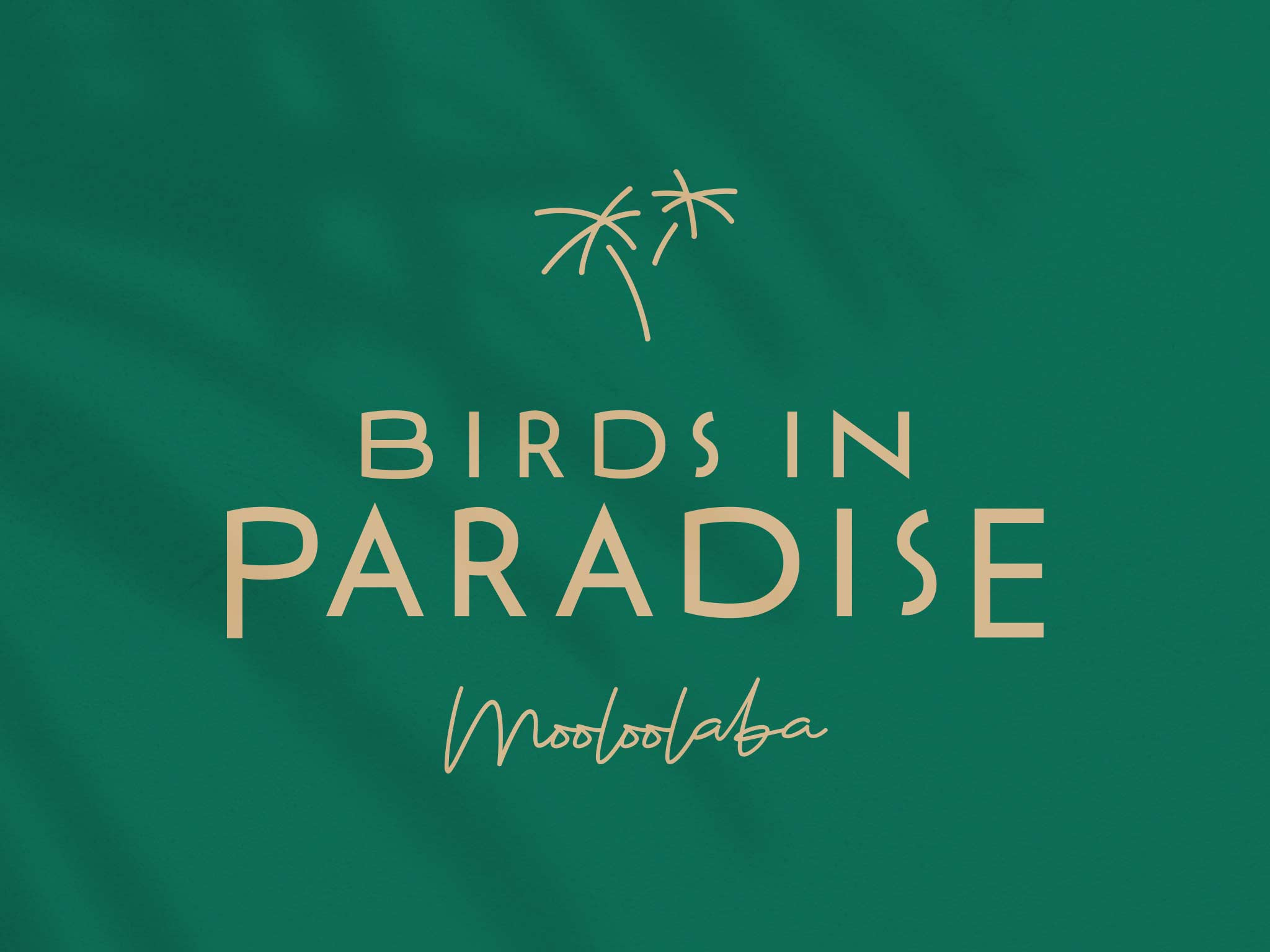 Birds In Paradise branding fashion logo tropical