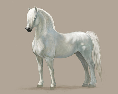 White Horse - Digital Art art digitalart horse horseart horsedrawing horses illustration pony whitehorse