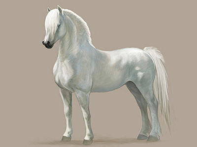 White Horse - Digital Art art digitalart horse horseart horsedrawing horses illustration pony whitehorse