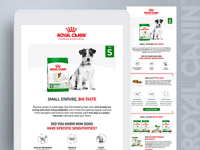 Royal Canin email design graphic design pet responsive