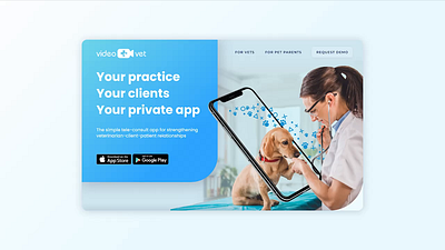 Video Vet prototype sales page ui vet veterinary website